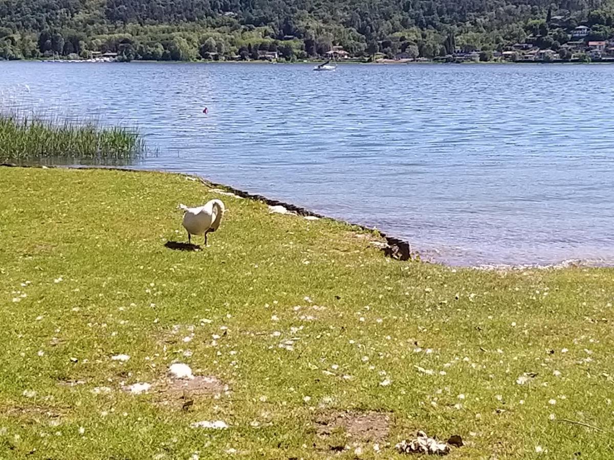 Ritratto Sul Lago Dormelletto Exteriér fotografie