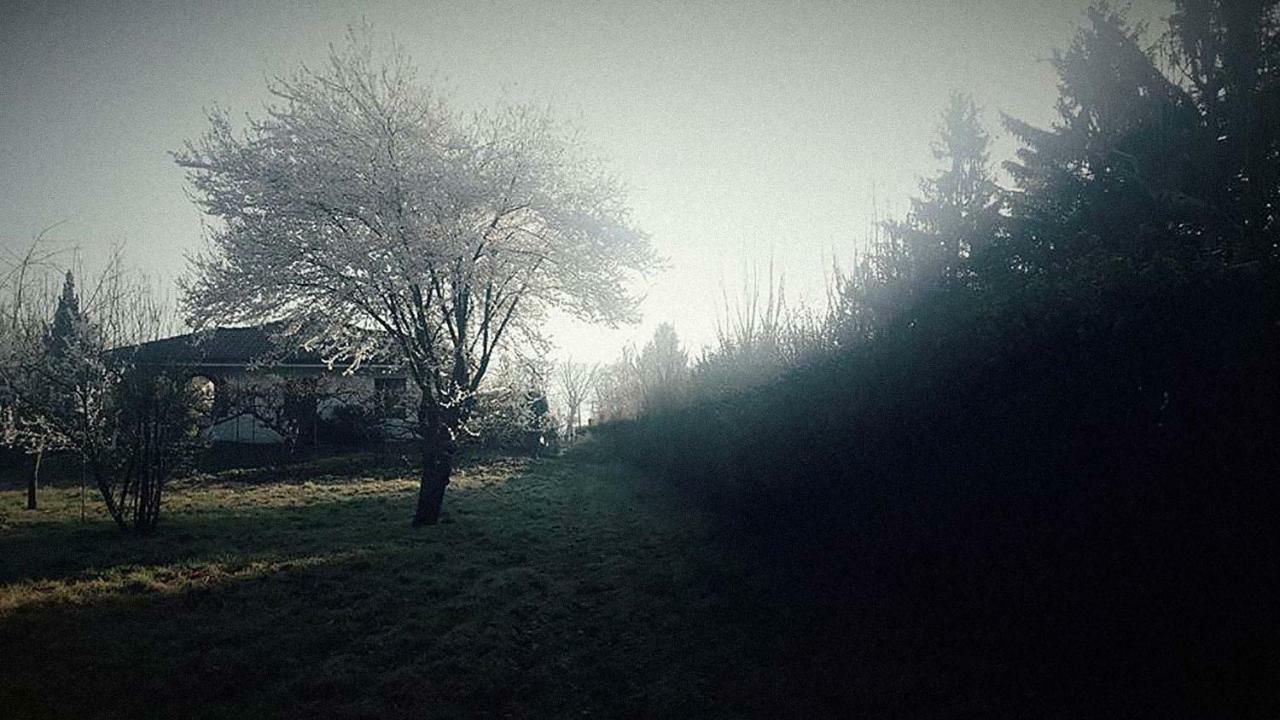 Ritratto Sul Lago Dormelletto Exteriér fotografie